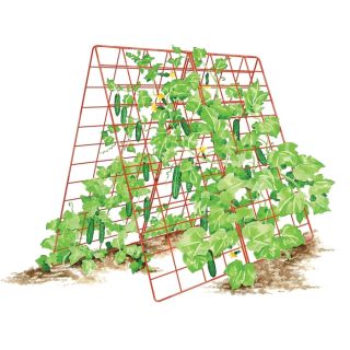 Deluxe Wire Cucumber Trellis Thumbnail